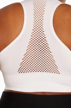 Marika Cathy Seamless Sports Bra (Plus Size) -Sporty Vibe Shop MPB1006A 010.13209